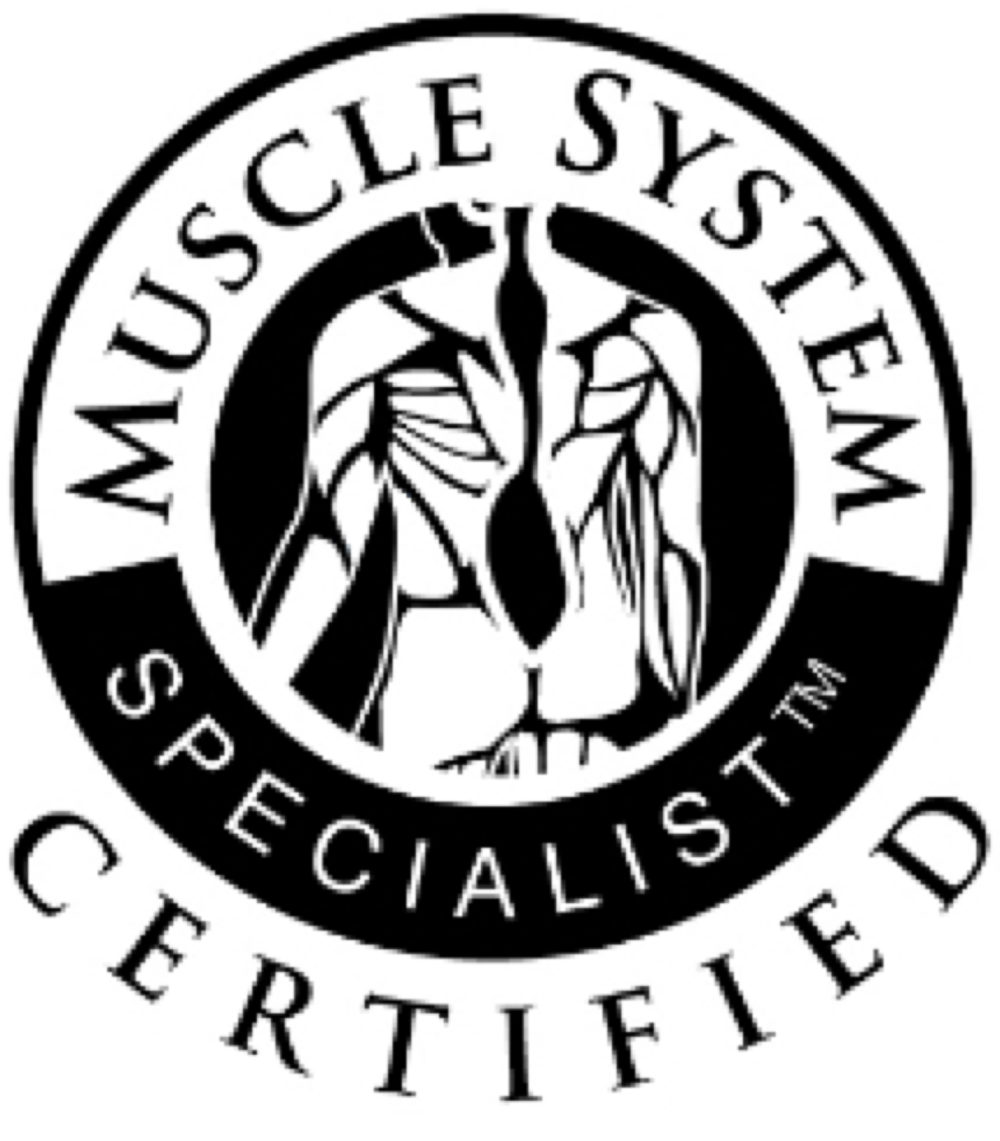 MSS Certified Logo Columbus Ohio Medical and Orthopedic Exercise Experts